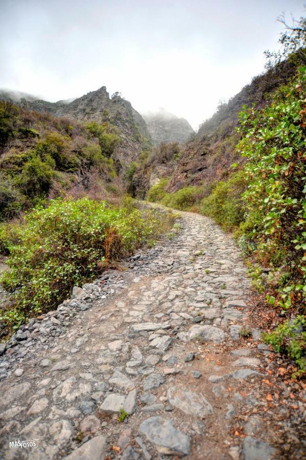 Naturaleza Viva El Socorro Kültér fotó